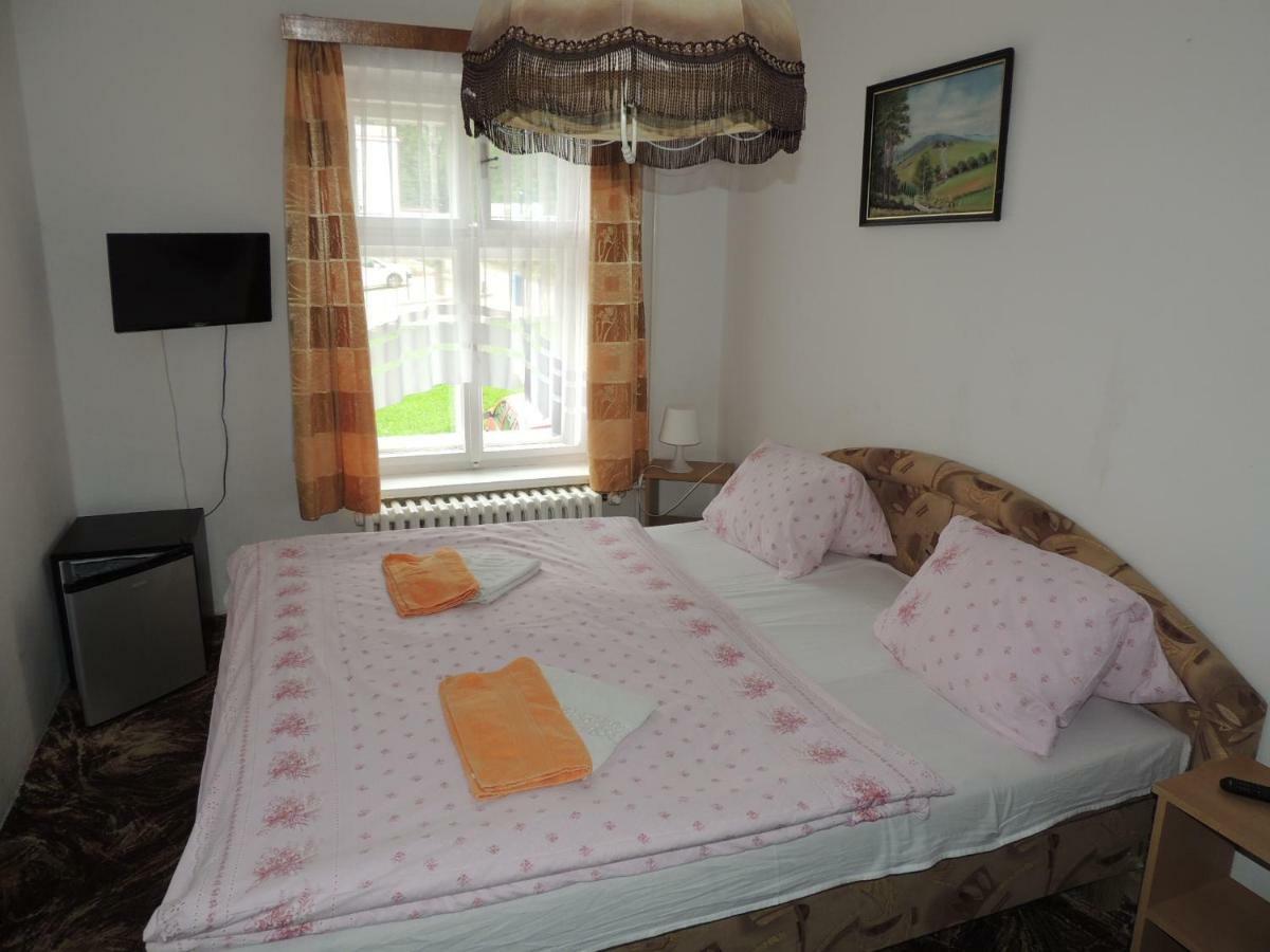 Pension Protez Lazne Libverda Exterior photo